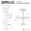 Подвесной светильник Citilux Nort CL475026