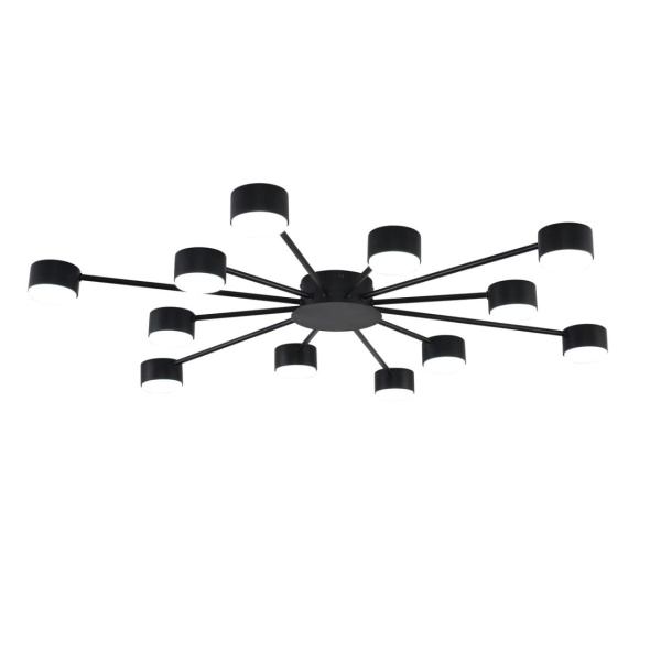 Потолочная люстра Lumion Comfi Torina 8344/12C