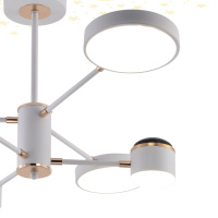 Люстра на штанге Escada Interstellar 10255/6LED