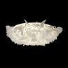 Потолочный светильник Loft IT Clizia 10594/780C White