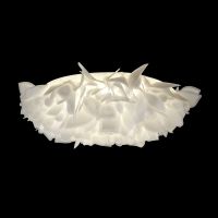 Потолочный светильник Loft IT Clizia 10594/780C White