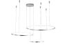 Подвесная люстра Zortes Ringolight ZRS.33321.120F