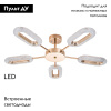 Потолочная люстра Arte Lamp Ovale A2489PL-5GO