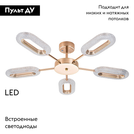 Потолочная люстра Arte Lamp Ovale A2489PL-5GO