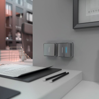 Выключатель двухклавишный с подсветкой Werkel Gallant серебряный W5020106