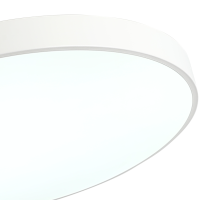 Потолочный светильник Zortes Tortty ZRS.02564.96