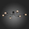 Потолочная люстра ST Luce Ano SL419.442.06