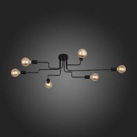 Потолочная люстра ST Luce Ano SL419.442.06