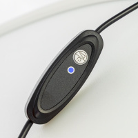 Настольная лампа Citilux Lina CL812010