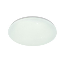 Потолочный светильник Escada Galatea 10216/SG LED APP