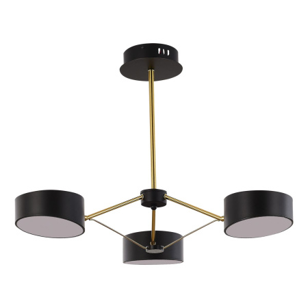 Потолочный светильник Evoluce Valle SLE6005-402-03