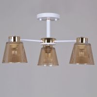 Потолочный светильник Reluce 20560-0.3-03 WH+FG