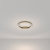 Потолочный светильник Maytoni Rim MOD058CL-L25BSK