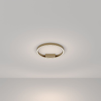 Потолочный светильник Maytoni Rim MOD058CL-L25BSK