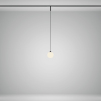 Трековый магнитный светильник Maytoni Luna TR178-1-5WTW-B