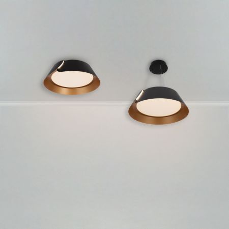 Потолочный светильник Freya Portal FR6092CL-L72GB