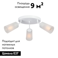 Потолочная люстра Vitaluce V4273-0/3PL