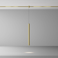 Трековый магнитный светильник Maytoni Focus LED TR156-1-5W4K-BS