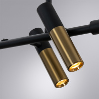 Подвесной светильник Arte Lamp Klimt A2850SP-45BK