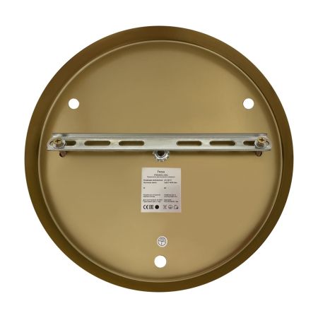 Потолочная люстра Freya Polli FR5449CL-03G