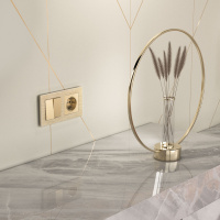 Выключатель  двухклавишный  шампань WL11-SW-2G Werkel