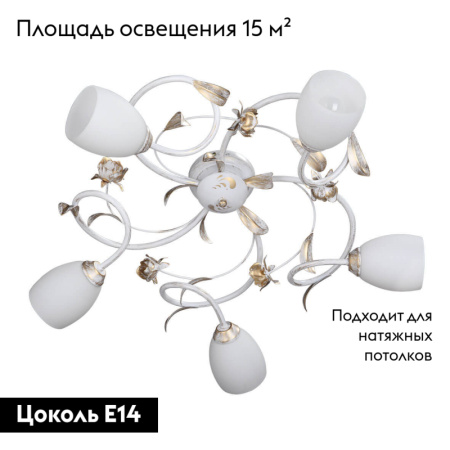 Потолочная люстра Vitaluce V1538/5PL