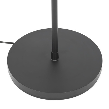 Торшер Citilux Loong CL810031