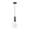 Подвесной светильник Odeon Light Pendant Okia 4668/1