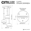Подвесной светильник Citilux Espace CL243031