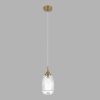 Подвесной светильник Lumion Moderni Dea 8439/1C