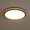 Потолочный светильник Freya Rua FR6160CL-L40B