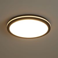 Потолочный светильник Freya Rua FR6160CL-L40B