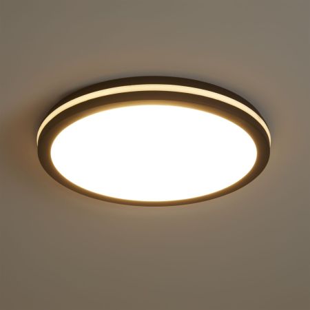Потолочный светильник Freya Rua FR6160CL-L40B