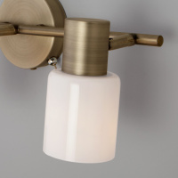 Спот Eurosvet Corso 20089/3 бронза