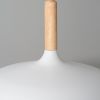 Подвесной светильник Arte Lamp Kayla A7099SP-1WH