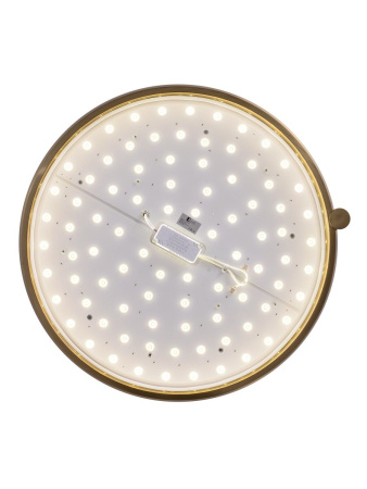 Потолочный светильник Zortes Gimpel ZRS.1209.18