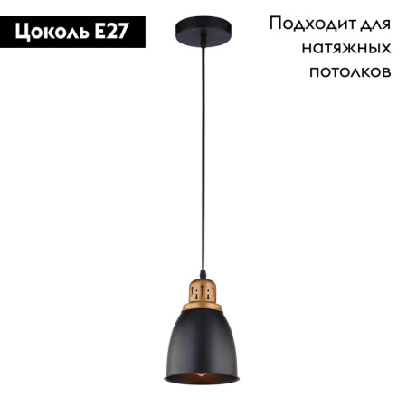 Подвесной светильник Arte Lamp Eurica A4248SP-1BK