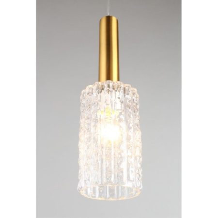 Подвесной светильник Aployt Henrite APL.310.06.01