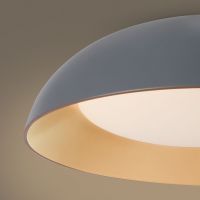 Потолочный светильник Freya Moonlight FR5277CL-L72GR