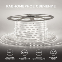 Светодиодная лента Apeyron Стандарт 220В 2835 8Вт/м 4000К 50м IP65 17-40
