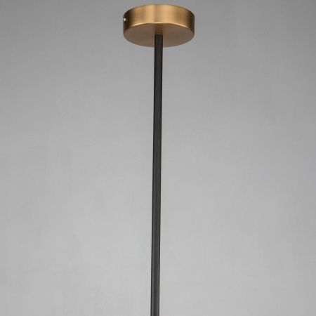 Подвесной светильник Favourite Roshe 2624-1P