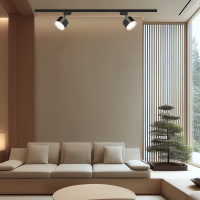 Трековый однофазный светильник Apeyron 16-90