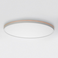 Потолочный светильник Citilux Norma CL749500