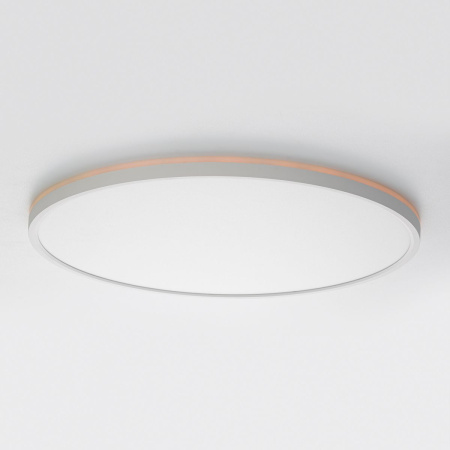 Потолочный светильник Citilux Norma CL749500