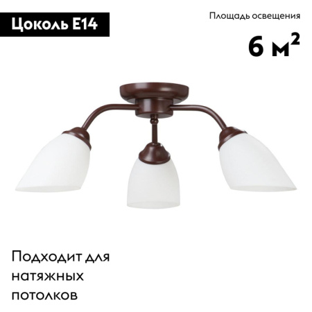 Потолочная люстра Vitaluce V3252/3PL