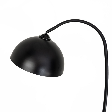 Торшер Modemodern MD.8818.01FL