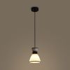 Подвесной светильник Freya Topi FR5503PL-01B1