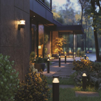 Уличный настенный светильник Odeon Light Nature Hulk 7140/20WL