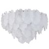 Потолочный светильник Indigo Bellezza 12059/9C Chrome V000593