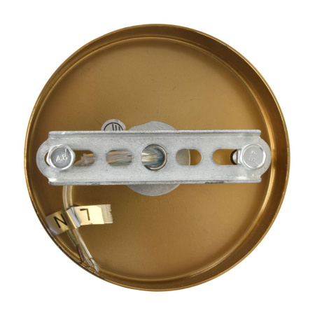 Подвесная люстра Lumion Moderni Chipsy 8320/8